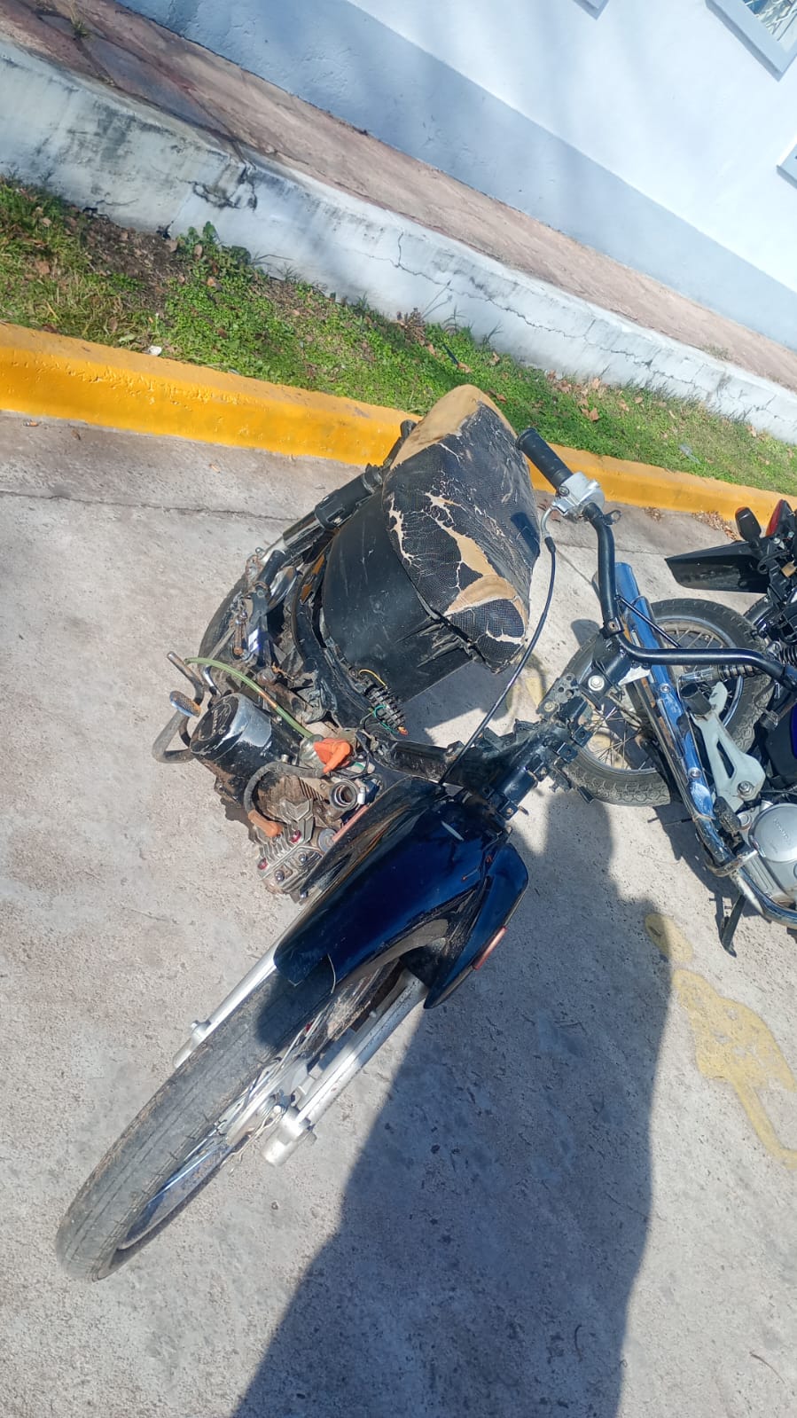 Imagen adicional